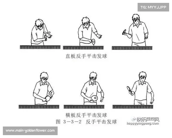 乒乓球双打配对策略分析 左手与右手选手优势与劣势对比