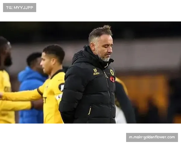 狼队赛季初与佩雷拉续约 9轮不胜仍未决定换帅